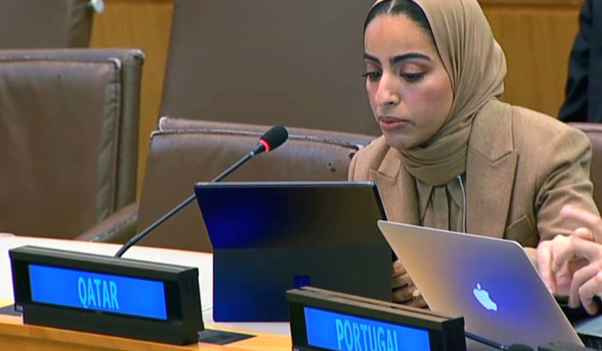 United Nations General Assembly